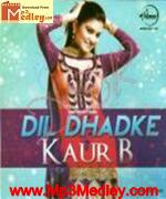 Dil Dhadke